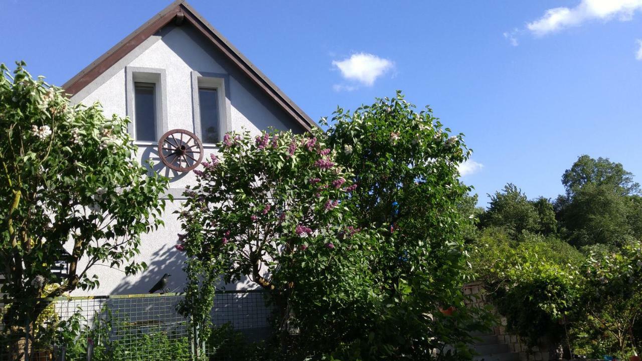 Apartamenty Na Skarpie Miedzyzdroje Exteriör bild